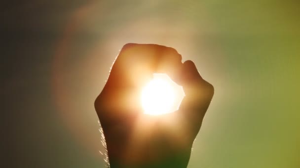 女人的手以太阳在手中的太阳女人手对美丽的大海采取日落地平线上的